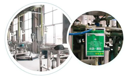 智能驅(qū)動(dòng)，水務(wù)革新 重慶樹(shù)榮長(zhǎng)壽區(qū)無(wú)人化新工廠正式投產(chǎn)